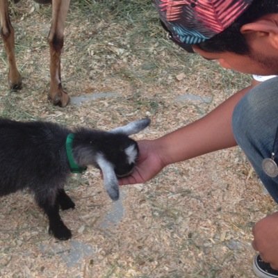 Chewbacca_18's profile picture. runnin