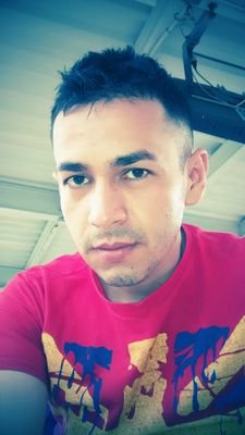 Técnico Profecional