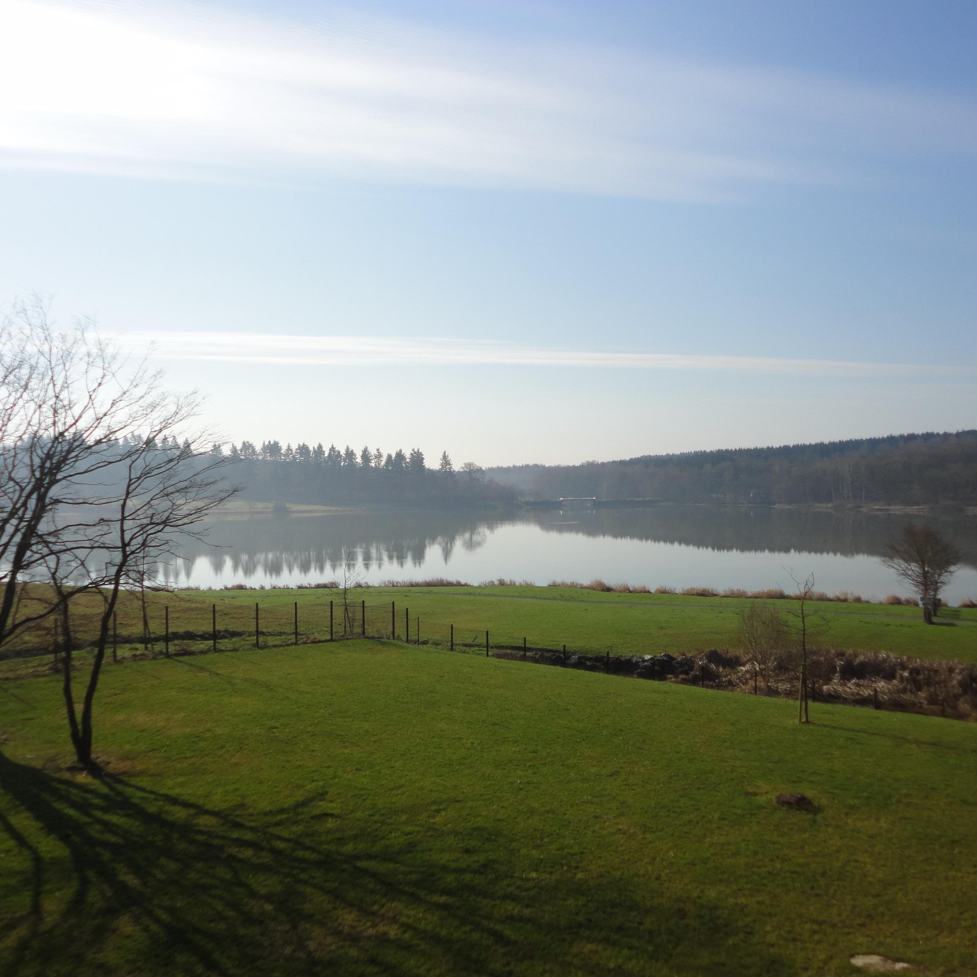 stephcyp's profile picture. 