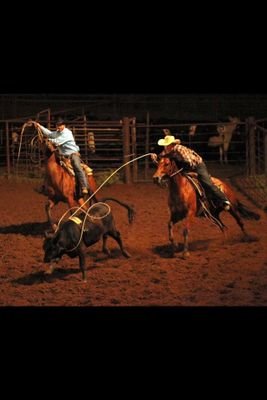 trevsmoore95's profile picture. Ride for the Brand!