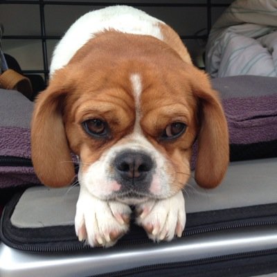 mikeweb58861123's profile picture. 