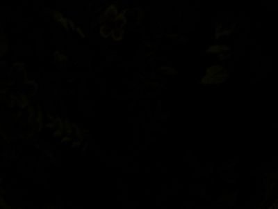 ي