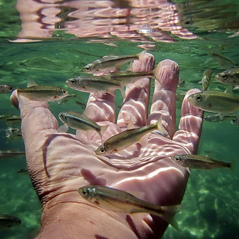 MusokeBryant's profile picture. 