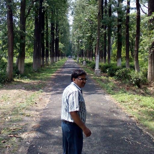 Joint Director, State Planning Institute, UP