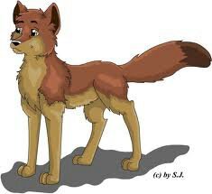 a wolf / play full and good at fighting #male #single / no owner