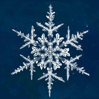 Esteta. Vivo nel secolo sbagliato e soffro di malinconia cronica. Amo i boschi, la neve, le luci della sera e l'Arte (quella vera).