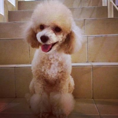 PhangJhunKit's profile picture. 