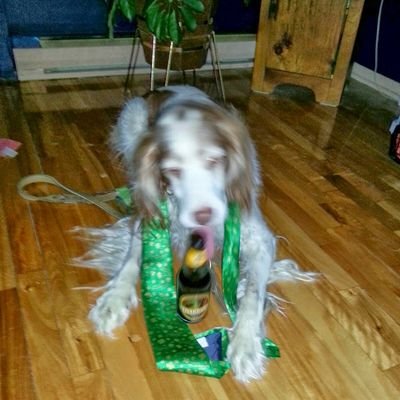 FranFrechette's profile picture. 