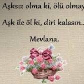 ishakaysun's profile picture. TAKİP ET GERİ DÖNER @bentalhapolat