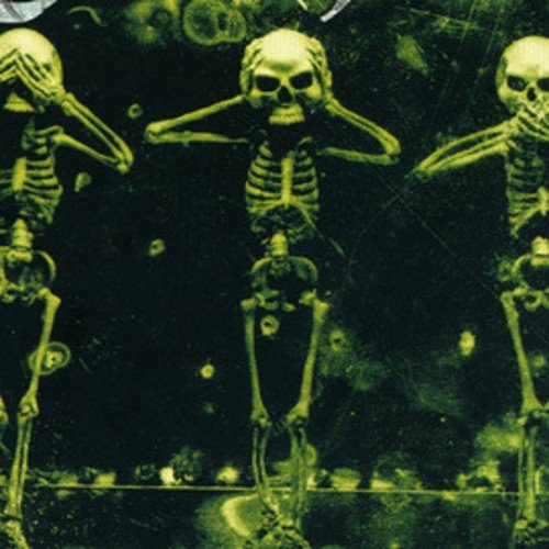 Sk8Paradise's profile picture. Find what you love and let it kill you #TeamSkate