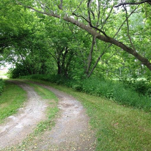 MacLeodFarm's profile picture. Organic and market vegetables on our heritage family farm in Glengarry County. Just 100 km or 60 miles from Ottawa and 110 km or 70 miles from Montreal.