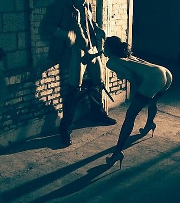 drtybastrd1's profile picture. 