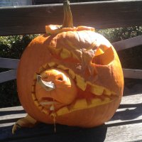 Tom Callens (@tompkinwompkins) 's Twitter Profile