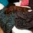 Jasminyerbich3's profile image