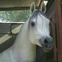 محمد الحربي (@0530591413) Twitter