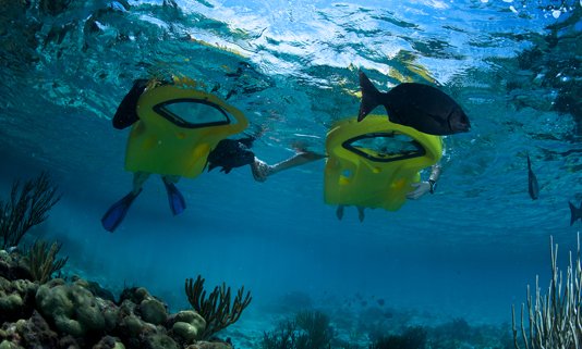 DragosTiugan's profile picture. Love Fishing