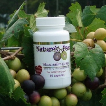 NPHealthyFit's profile picture. Nature's Pearl is the leader in the #health and #nutrition industries, offering consumers worldwide Organic Muscadine products. #fitness #fitfam