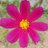 love_gift_'s profile image