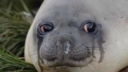 MalorBankz's profile picture. DM or Email me at InquiriesFast@gmail.com to discuss having your product shown on my twitter