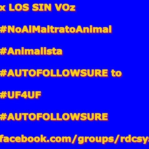 #NoAlMaltratoAnimal #Animalista #AUTOFOLLOWSURE to  #UF4UF