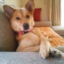 ERI SUGIMOTO - @arare_1213 - Twitter