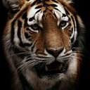 Anuar N9 (@0124163330) Twitter