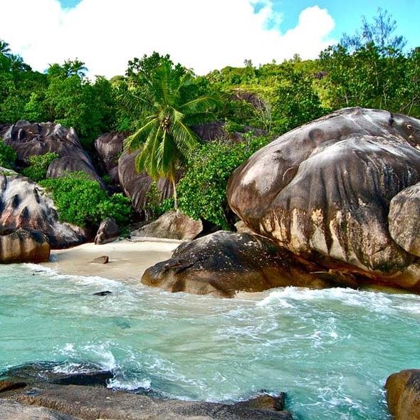 eylaParr's profile picture. 