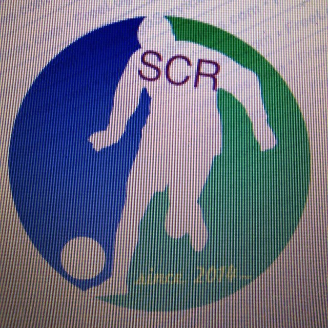 A14Scr's profile picture. 今年立ち上げた、鎌倉、横浜、藤沢を拠点に活動しているチームです。主にフットサル、たまーにサッカーです。参加希望者・対戦相手いつでも募集しています。DMください。