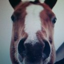 kim~rod~vanantwerp - @rod_kim - Twitter