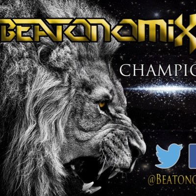 BEATONOMIX is made up of the duo Daryl ThunDizzle Small and Glen Pulse Murphy. New, fresh, original and very experimental Music Producers!