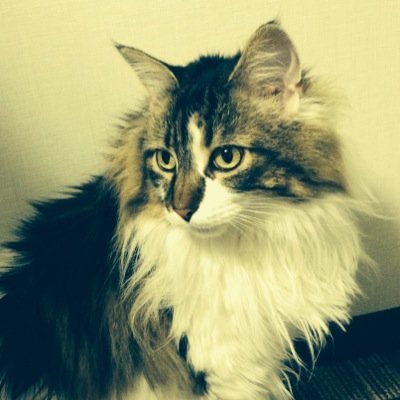 sohikocvb's profile picture. 大学HPにリンクを貼るようになり、いよいよ真面目につぶやく必要性が出てきたようです。根は真面目ですが枝葉は不真面目です。北海道大学/化学海洋学/微量気体/大気-海洋物質循環/北極海/分析化学/宇宙飛行士に転職失敗