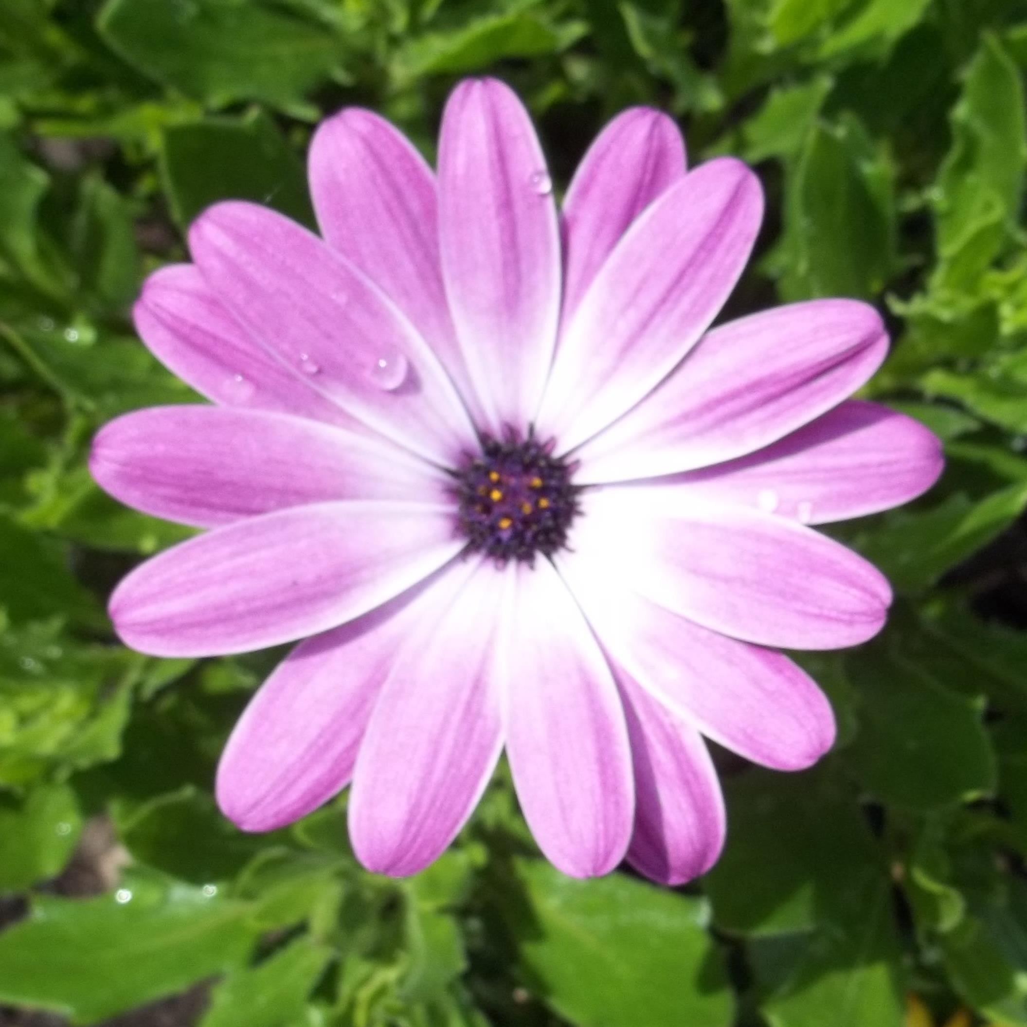 ParkwoodSprings's profile picture. 