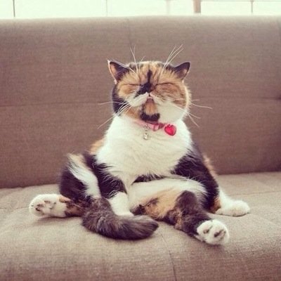 かませ猫 Sariel57 Twitter