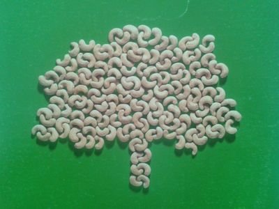 Oltremare, private industrial company, operating since 1960, proposes technologically advanced solutions in cashew processing and packaging.