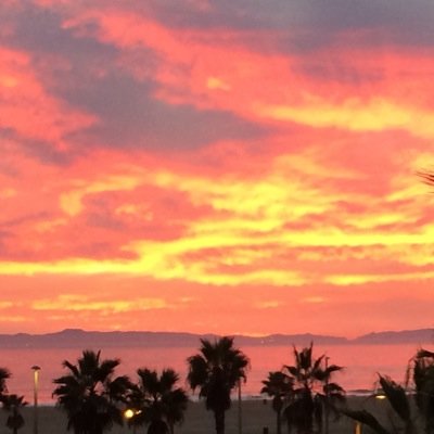 4_Ava_1's profile picture. L.A. native, MLB Angels fan, FAST car enthusiast (I especially love mine, BOTH of them )