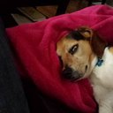 Ed Harper - @comizon1 - Twitter