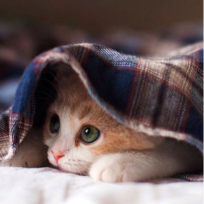 不満不安な毎日をなんとかして抜け出すための一歩を積み重ねる 楽天ROOMしてますのでぜひhttps://t.co/AdeKgcBA0v