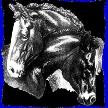 501-c-3 NON-PROFIT HORSE RESCUE We are saving all horses in need throughout Broward County and EIA positive horses in Florida as well.