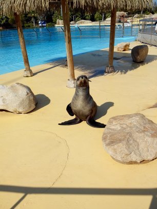 _menie_'s profile picture. A survécu à l'iECN 2016 - Va essayer de faire de la médecine