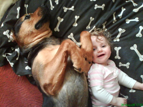 Colin_Bradbury's profile picture. Site founder of Support The Animals.
http://t.co/gIgQHMgvZr

XBox 360 Gamer Tag - Spykus