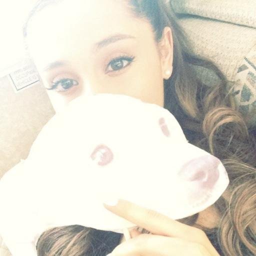 AriVotes9's profile picture. Votes for my idol Ariana Grande