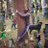 ViPelonGroup's profile image