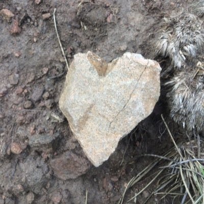 Profile Picture of Jennifer Calig-Silverstein (@tiedandtorn) on Twitter