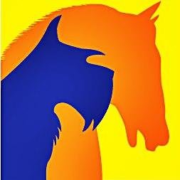 anitacataca's profile picture. #sillasderuedas para perros y gatos  	
Los Buenos Ratos Hay Que Fabricarlos, Porque Los Malos, Llegan Solos