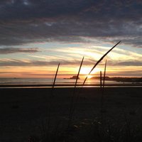 D Lynn Chapman (@envirochap_d) 's Twitter Profile