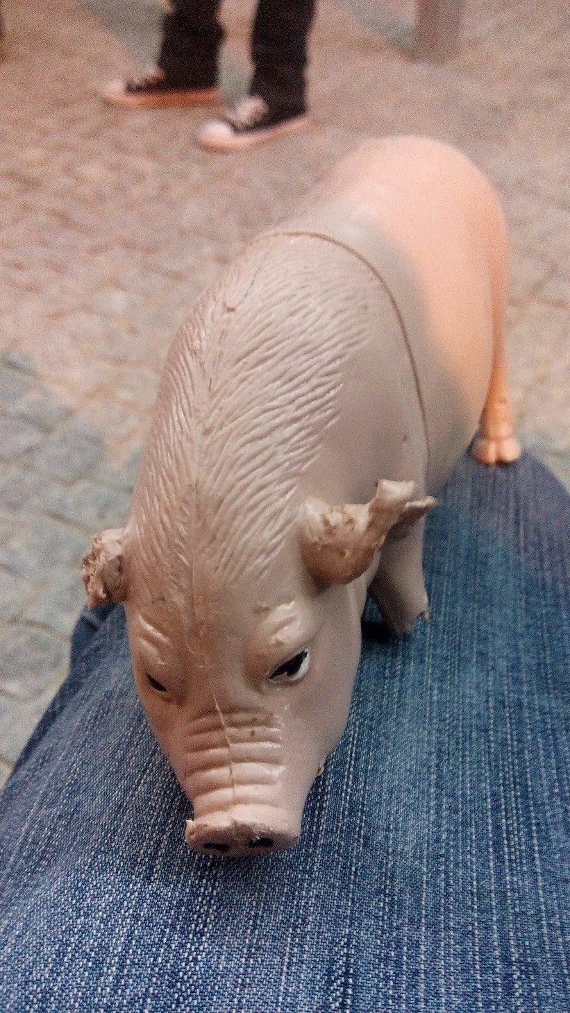 Crihtobal's profile picture. No me pieldo ni una, todo el dia de selebrasiones de aldea en aldea buhcando son