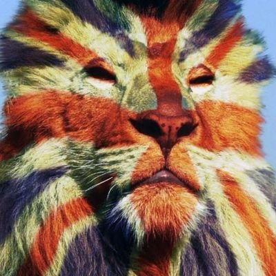 _Shelldrake's profile picture. What is incredibly telling is that Leftwaffe Marxists consider Patriots right wing, meaning they don't consider themselves Patriots
     Violence solves nothing