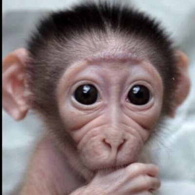 tlove3216 Profile Picture