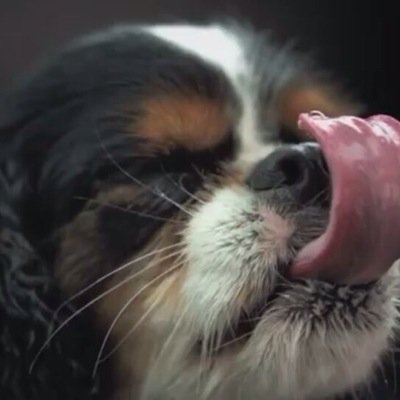 Disneydreamer88's profile picture. Doing the best at this moment puts you in the best place for the next moment ♡ Oprah Winfrey ♡