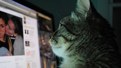 netnetnett's profile picture. 検索ばかりやってますがお願いいたします(σ≧▽≦)σ